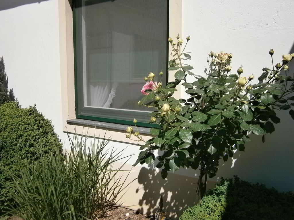 Atriumhof Lägenhet Rust Exteriör bild